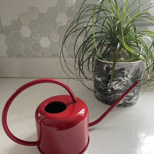 Red Watering Can 0.9 Litres