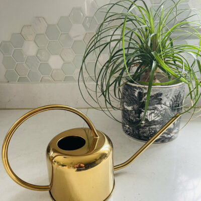 Glossy Brass Watering Can 0.9 Litres