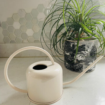Cream Watering Can 0.9 litres
