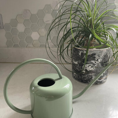 Summer Green Watering Can 0.9 litres